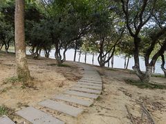 -凤岗南门山森林公园
