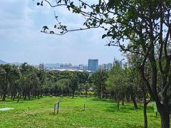 -紫马岭公园