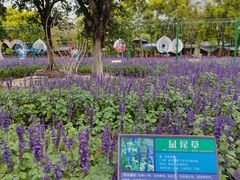 -广东花都香草世界旅游度假区