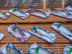 -T11生鲜超市(朝阳公园店)