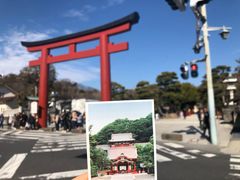 -镰仓 峰本(八幡宫前本店)