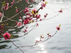 -绍兴东湖风景区