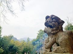 -灵隐飞来峰景区