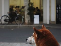 -Onirii Coffee(长乐路店)