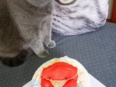 -派悦坊·甜品·蛋糕(日坛店)