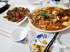 -煲来饱去冷水鱼