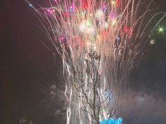 -花博汇(知音花月夜)