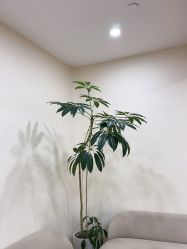 -HEYAN荷妍专业脱毛连锁机构