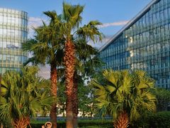 -深圳机场凯悦嘉轩酒店