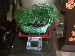 -富侨养生(康乾店)