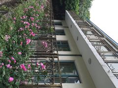 iphone_upload_pic-上海市保健医疗中心(华东疗养院)