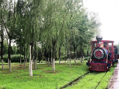 -永定河休闲森林公园