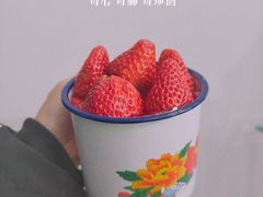-黛瓦兰西点(开发区店)