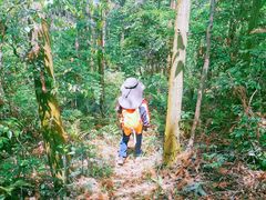 -青龙山国家森林公园
