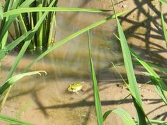 -高荡千年布依古寨旅游景区