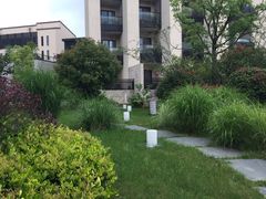 -上海崇明金茂凯悦酒店