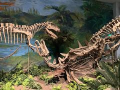 -自贡恐龙博物馆