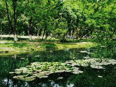 -长白岛森林公园