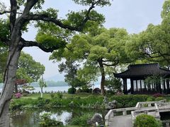 -杭州西湖柳莺里酒店·闻莺厅