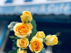 -花与咖啡馆(金星楼店)