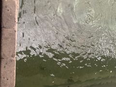 -海五农庄(海五店)