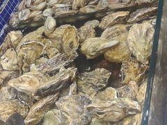 -丰卓会海鲜自助(中润大道店)