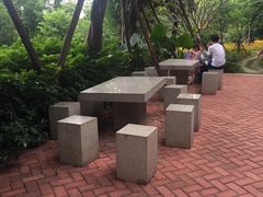 -仙岳公园