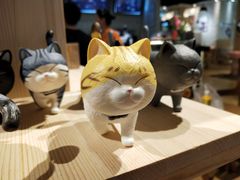 -藏猫猫咖啡主题馆(中央大道店)