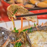三亚美食 这家不仔客它是真的不宰客‼️