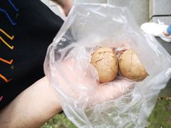 香菇茶叶蛋-金盆阿嬷香菇茶叶蛋(玄光店)