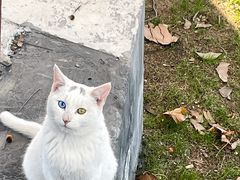 -上海植物园-4号门售票处