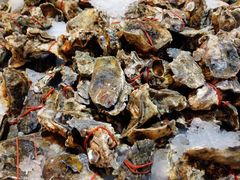 -芭提雅Amporn Seafood自助餐厅