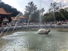 -顺峰山公园