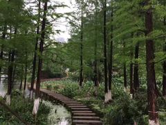 -重庆彩云湖湿地公园