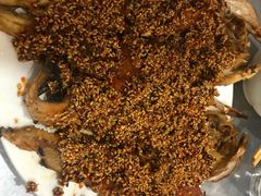 -松明一烤肉馆(鲁园店)