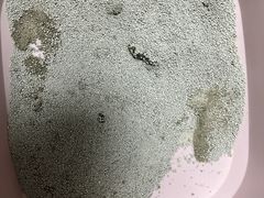 -创凡宠物医院·骨专科  猫科中心(西乡分院)