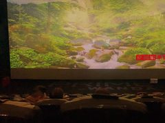 -万达影城(保定万博广场激光IMAX店)