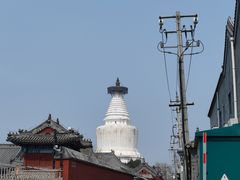 -小胖包子王(阜成门内店)