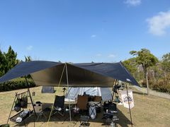 -春花秋色城市公园