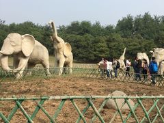 -廊坊市自然公园