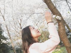 -武汉大学-樱园
