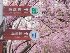 -昆明动物园