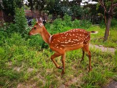 -帽儿山国家森林公园