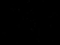 -怀托摩萤火虫洞