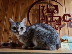 -隅cafe(傅厚岗店)