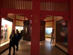 -美国自然历史博物馆