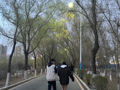 -丁香湖公园