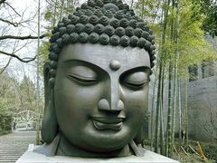 -杭州植物园