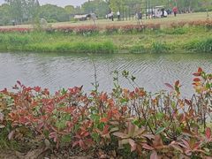 -嘉北郊野公园