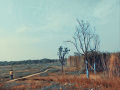 -汉长安城未央宫国家考古遗址公园